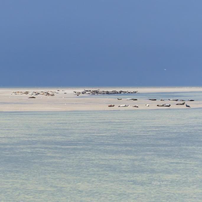 Vue Mer Berck Extérieur photo
